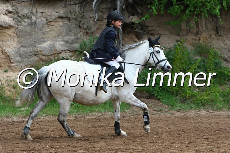 005L3560_Tamira_Springreiter WB.JPG